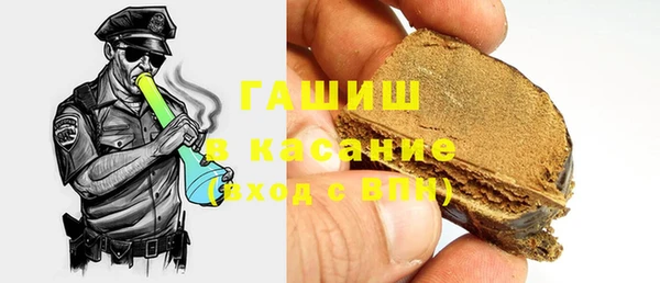 прущие грибы Горно-Алтайск
