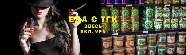индика Горнозаводск