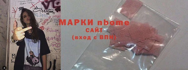 прущие грибы Горно-Алтайск