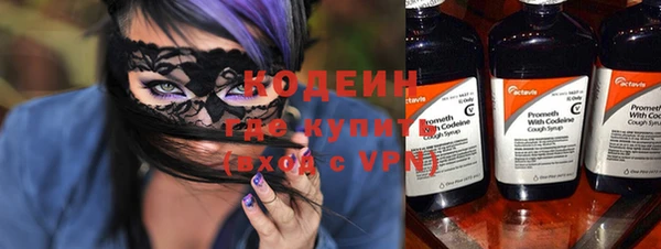 индика Горнозаводск