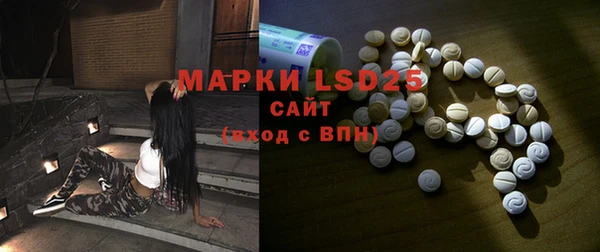 индика Горнозаводск