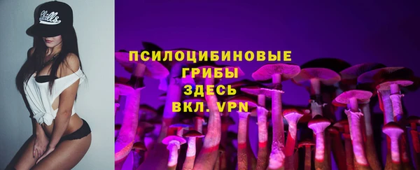 прущие грибы Горно-Алтайск