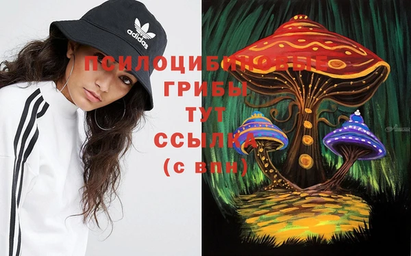 индика Горнозаводск