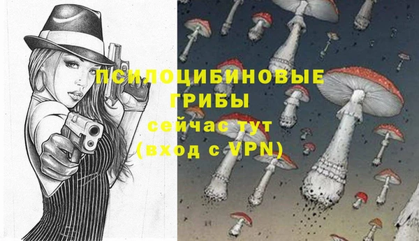 прущие грибы Горно-Алтайск