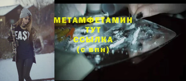 индика Горнозаводск