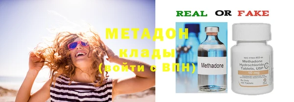 индика Горнозаводск