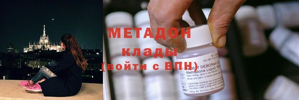 прущие грибы Горно-Алтайск