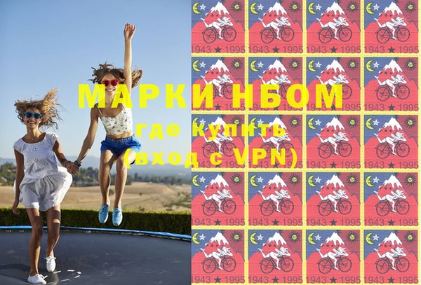индика Горнозаводск