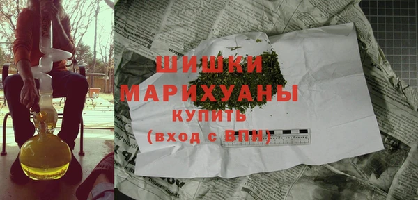 прущие грибы Горно-Алтайск