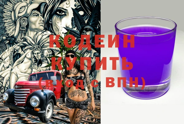 индика Горнозаводск