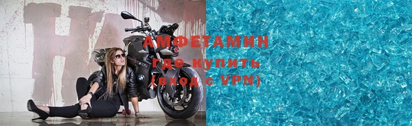 индика Горнозаводск