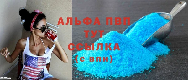 прущие грибы Горно-Алтайск