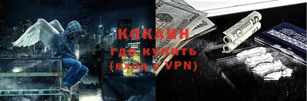 прущие грибы Горно-Алтайск