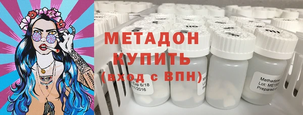 прущие грибы Горно-Алтайск