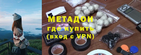 прущие грибы Горно-Алтайск